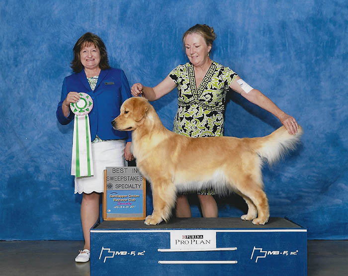 zestgoldens.com biss tallyho