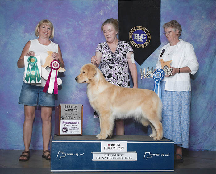 zestgoldens.com tallyho sgrc in